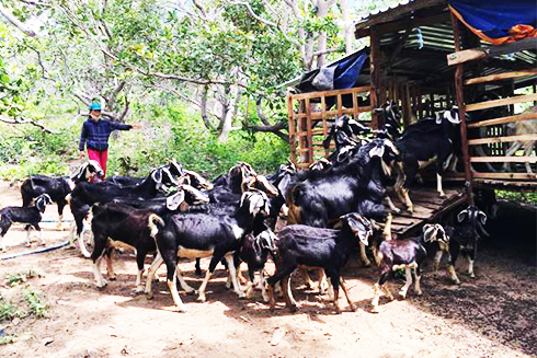 Đẩy mạnh hoạt động vì sự tiến bộ của phụ nữ