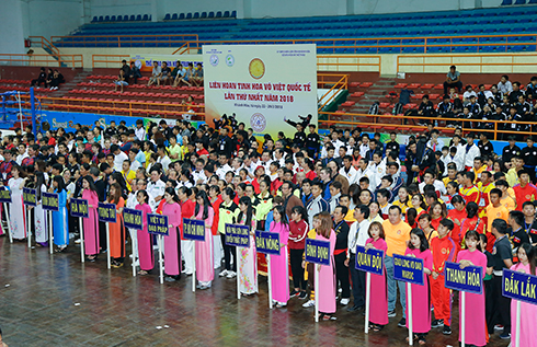 55 teams with 440 martial arts practitioners join festival 