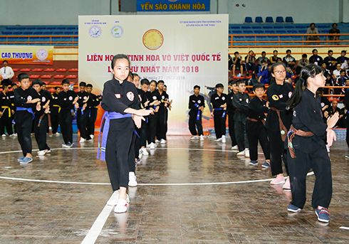 Young athletes performing basic techniques of Vietnamese traditional martial art