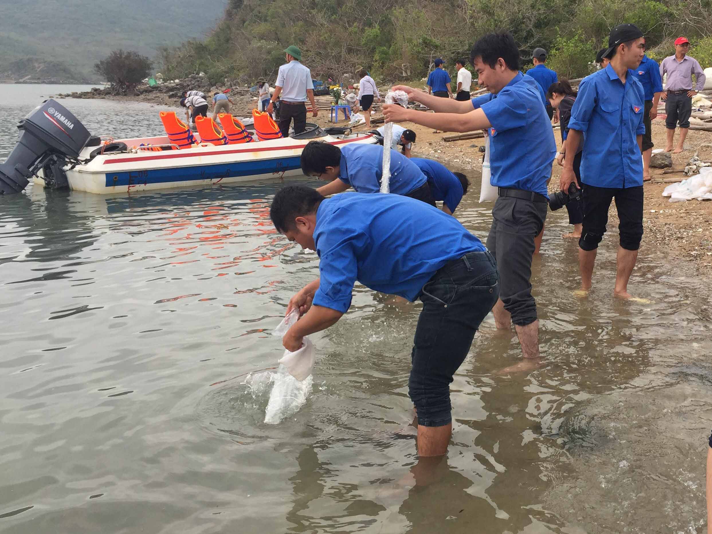 Thả con giống xuống vùng biển tại đầm Nha Phu