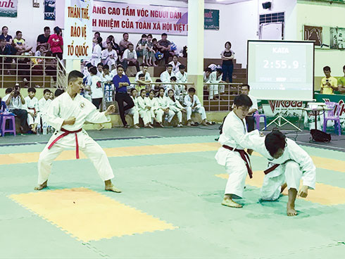 Twenty-two medals given at Khanh Hoa's karate tournament for age groups