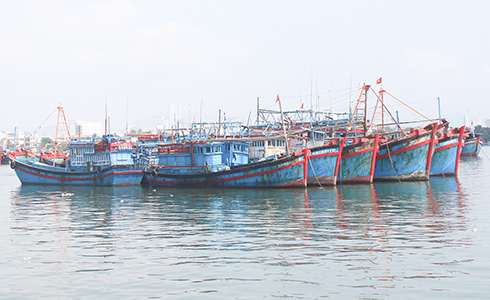 Chính phủ và tỉnh đang có nhiều chính sách khuyến khích ngư dân phát triển đội tàu khai thác xa bờ.