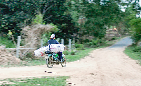 Vận chuyển than về đồng bằng. Ảnh: BKH