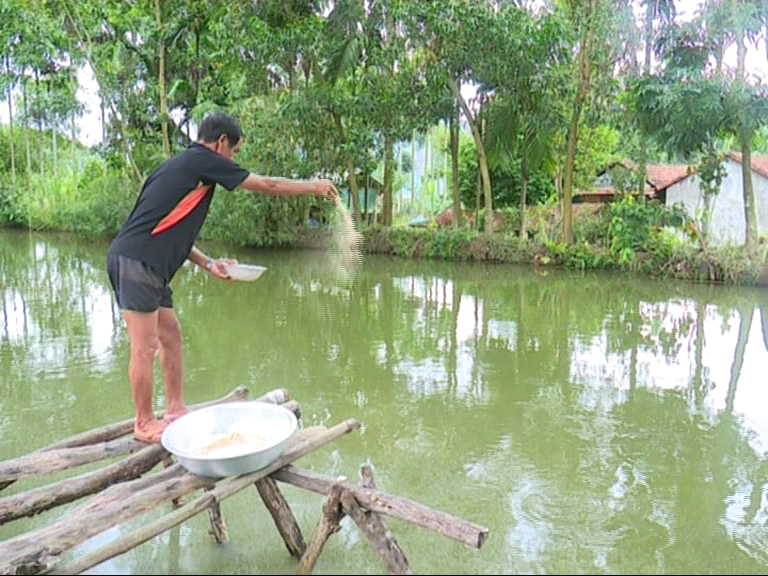 Khánh Vĩnh: Phát triển hơn 18ha ao cá nước ngọt