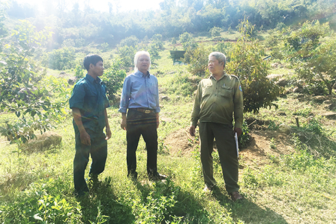 Khu vực diện tích đất hộ ông Cao Phi Hùng đang canh tác.