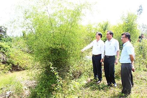 Xã Suối Hiệp: Tìm giải pháp nâng cao thu nhập cho người dân