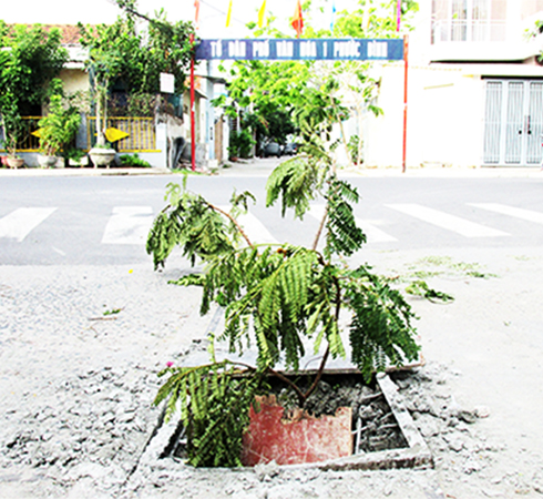 Hố giữa đường