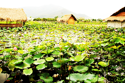 Những miền thiên nhiên xưa Nha Trang