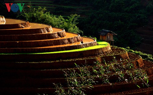 "Triển lãm nghệ thuật cảnh quan mây pha lê" lần đầu tiên ở Việt Nam