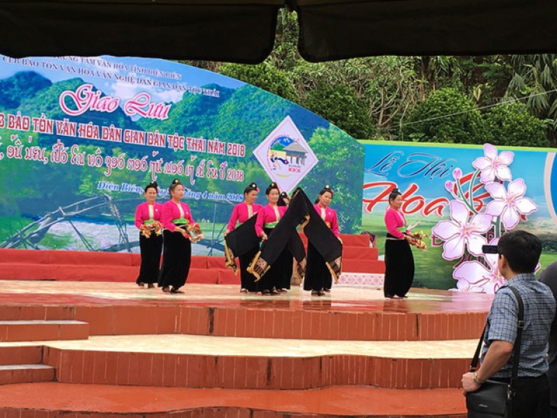 Nhiều hoạt động kỷ niệm 64 năm chiến thắng Điện Biên Phủ