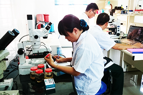 Đẩy mạnh nghiên cứu khoa học