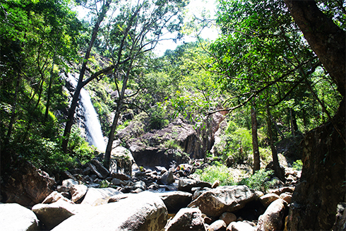 Ta Gu Waterfall, Khanh Son District, Khanh Hoa Province