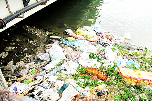 Rác đọng dưới chân cầu