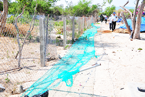 Hàng rào của Công ty Cổ phần Sơn Nam đã được tháo dỡ,  thay vào đó là hàng rào của dân mới lập (ảnh chụp ngày 18-5).