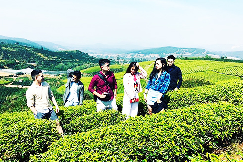 Hợp tác phát triển du lịch Khánh Hòa - Lâm Đồng: Cần những việc làm cụ thể