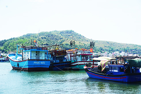 Nỗi niềm tàu 67