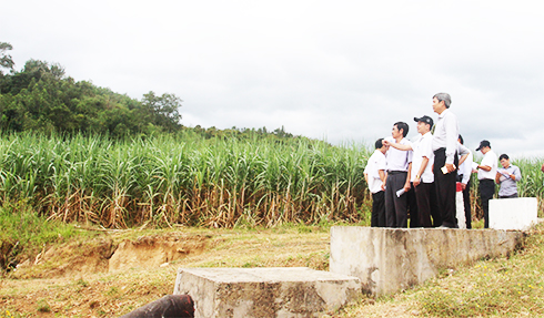 Quan ngại vấn đề môi trường