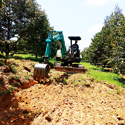 Làm giàu trên vùng đất khó