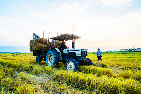 Diên Khánh: Tìm kiếm các mô hình kinh tế hiệu quả