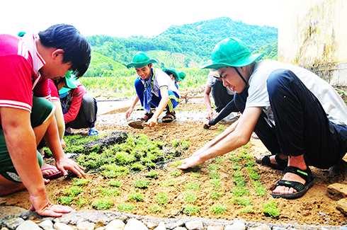 Sẵn sàng chiến dịch Mùa hè xanh