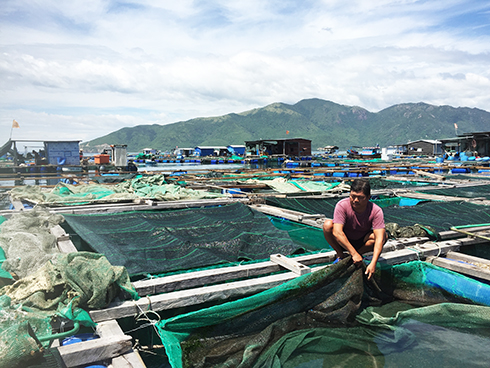 Nha Trang: Hỗ trợ khôi phục nuôi trồng thủy sản