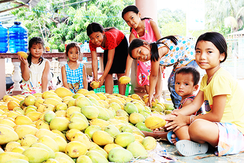 Tuổi thơ xứ xoài