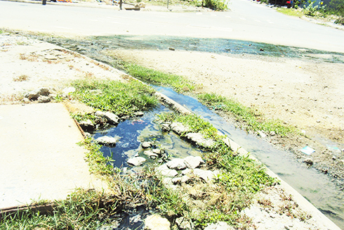 Hố ga gây ô nhiễm