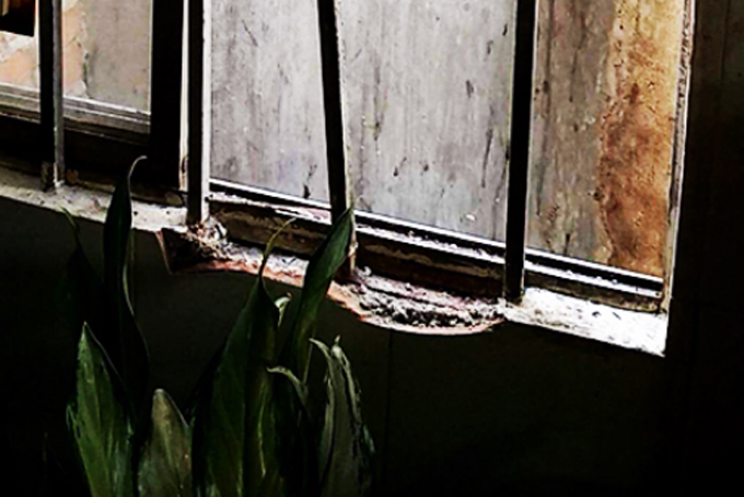 Bị truy nã vẫn đi trộm