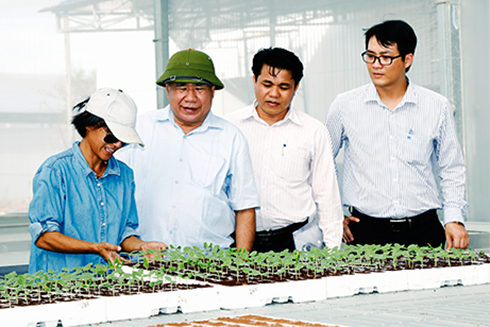 Lãnh đạo tỉnh đến thăm một cơ sở trồng dưa lưới xuất khẩu ở huyện Khánh Vĩnh.