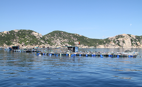 Nuôi tôm đảm bảo an toàn thực phẩm: Hiệu quả bước đầu