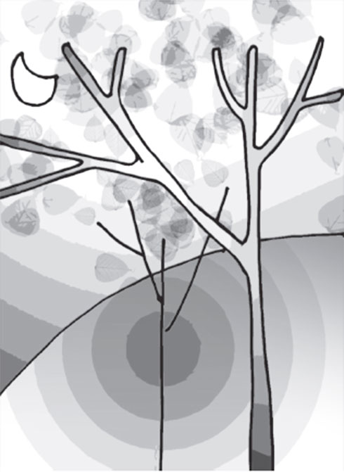 Nỗi lòng người cha