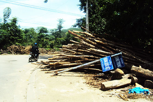 Trụ bảng tên đường bị ngã