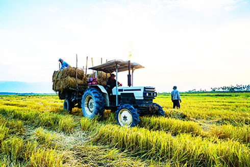 Triển khai nông thôn mới nâng cao: Chuyện không đơn giản