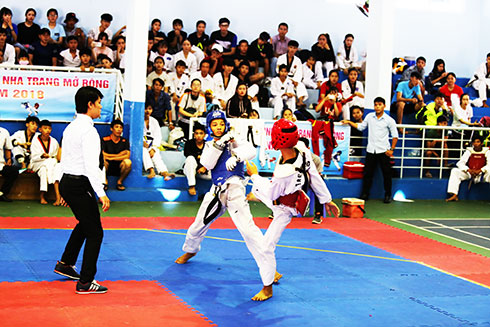 Seven teams outside Khanh Hoa join Nha Trang taekwondo open tournament ...