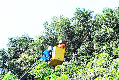  Tăng cường bảo vệ hành lang lưới điện cao áp 