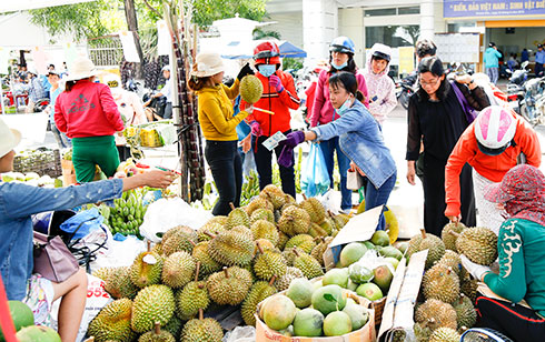 Người dân mua sầu riêng Khánh Sơn.