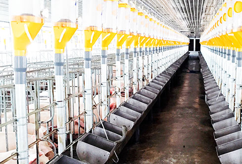 Air conditioning for pig and chicken farming