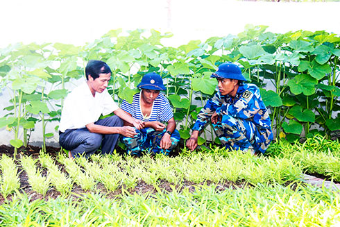Đưa hệ sinh thái hữu cơ ra Trường Sa