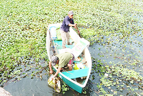 Cựu chiến binh xã Ninh Ích: Điểm sáng về bảo vệ môi trường