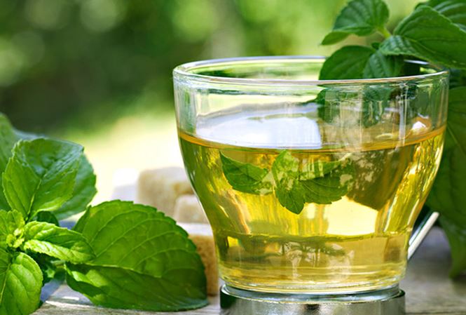 7 lý do bạn nên uống trà bạc hà mỗi ngày