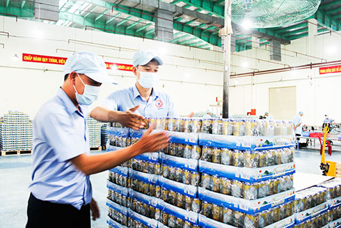 Chỉ số sản xuất công nghiệp tăng gần 8%