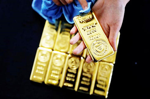 Vừa khởi sắc đã bị vùi dập