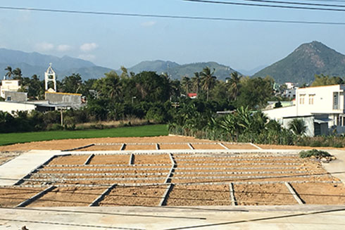 Nha Trang: Đất nền từ 10 đến 15 triệu đồng/m2 được giao dịch nhiều