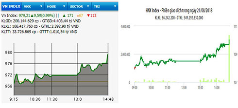  Diễn biến VN-Index và HNX-Index phiên giao dịch ngày 21-8.