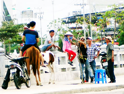 Du khách chụp ảnh với ngựa.