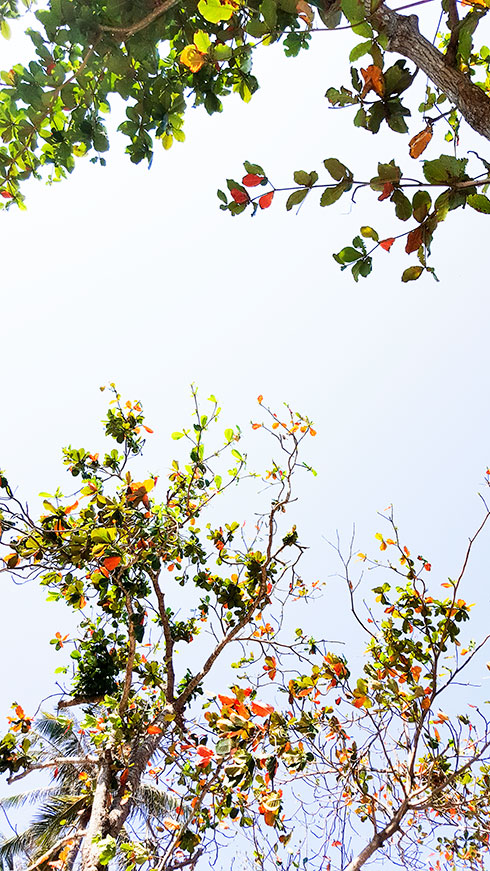 Nhịp đời ở phố