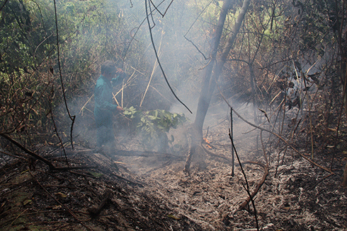 Cháy lớn ở thượng nguồn Đa Rao