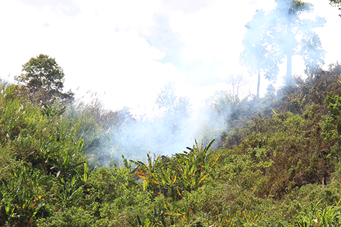 Đám cháy vẫn tiếp tục lây lan