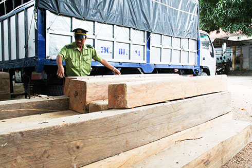 Số lâm sản tạm giữ tại Hạt Kiểm lâm Cam Ranh.   