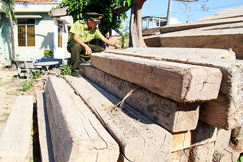 Công tác quản lý, bảo vệ rừng: Còn gian nan